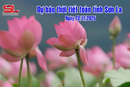 Dự báo thời tiết toàn tỉnh Sơn La ngày 23/11/2025