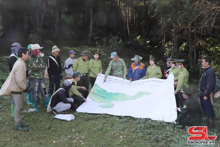 Tiên phong trong công tác quản lý, bảo vệ rừng