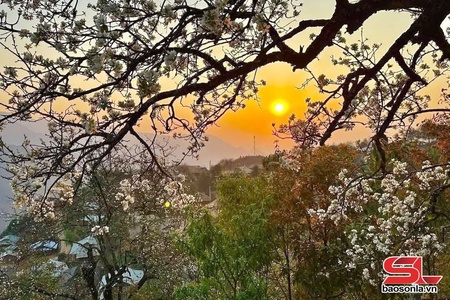 Sơn La thật gần