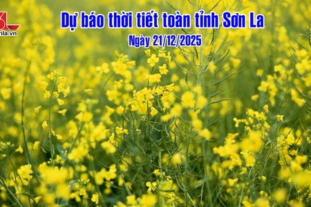 Dự báo thời tiết toàn tỉnh Sơn La ngày 21/12/2025