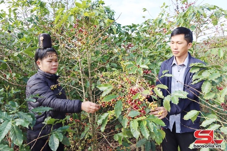 Đảng viên xã Mường Chanh tiên phong gương mẫu