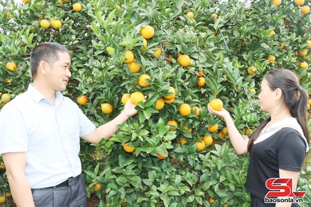 Nhịp sống mới dưới chân đèo Lũng Lô