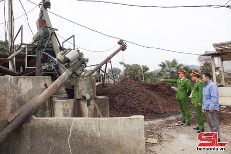 Phát triển cây cà phê bền vững gắn với bảo vệ môi trường