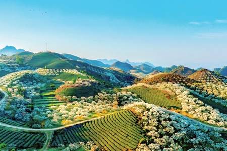 Mùa xuân nho nhỏ