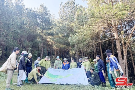 Xanh mãi những cánh rừng