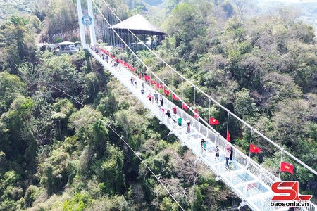 Du lịch một năm khởi sắc