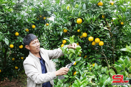 Những tỷ phú nông dân