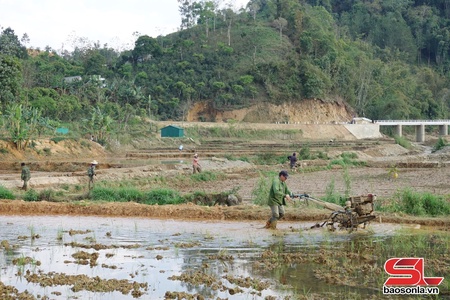 Nông dân xuống đồng cấy lúa xuân