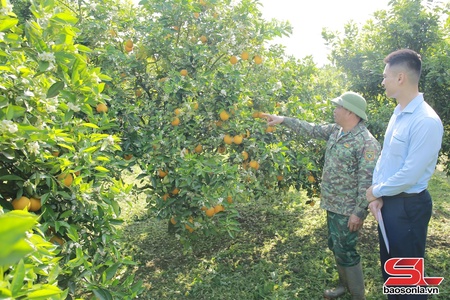 Kênh dẫn vốn phục vụ sản xuất, kinh doanh hiệu quả