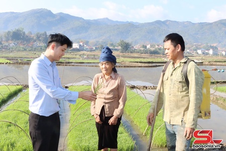 Mường Chanh gieo cấy lúa xuân