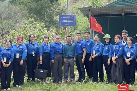 Tuổi trẻ Lóng Phiêng xung kích dựng xây vùng biên