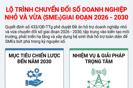 LỘ TRÌNH CHUYỂN ĐỔI SỐ DOANH NGHIỆP NHỎ VÀ VỪA (SMEs) GIAI ĐOẠN 2026 - 2030