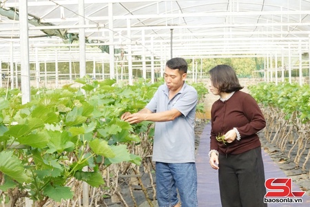 Chủ động ứng phó với nắng nóng, hạn hán