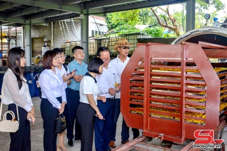 Phát triển kinh tế tư nhân, kinh tế tập thể và doanh nghiệp đổi mới sáng tạo