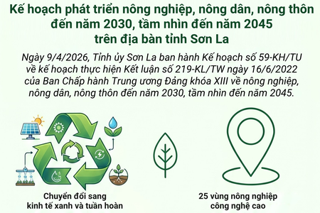 Kế hoạch phát triển nông nghiệp, nông dân, nông thôn đến năm 2030, tầm nhìn đến năm 2045 trên địa bàn tỉnh Sơn La