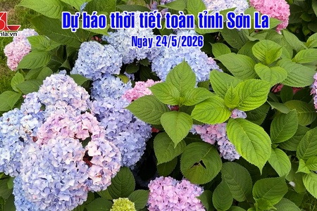 Dự báo thời tiết toàn tỉnh Sơn La ngày 24/5/2026