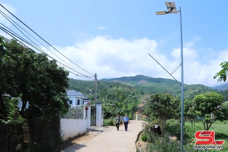 Bừng sáng những con đường nông thôn mới