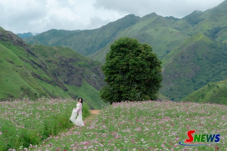 Du lịch hè ở Tà Xùa