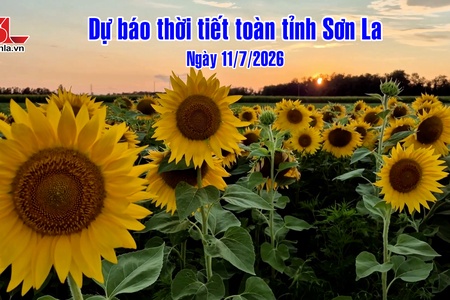 Dự báo thời tiết toàn tỉnh Sơn La ngày 11/7/2026