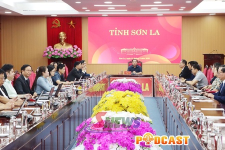 Bản tin Podcast ngày 1/8/2026