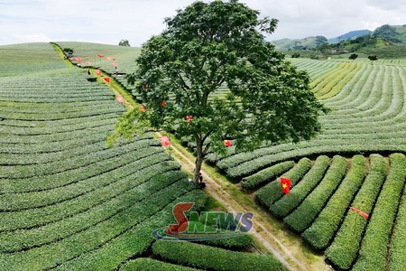 Sơn La ngày anh đến