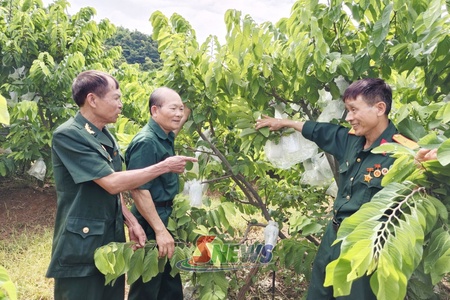 Đồng hành cùng hợp tác xã phát triển bền vững