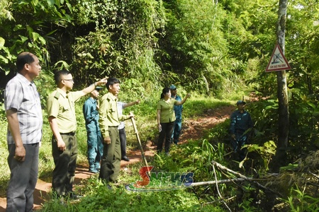 Giữ màu xanh cho cao nguyên Mộc Châu