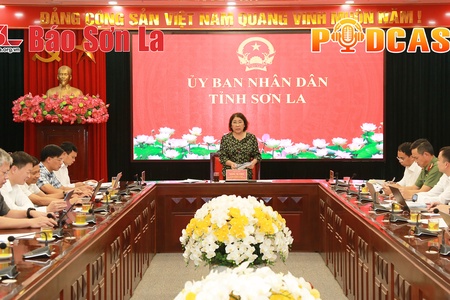 Bản tin Podcast ngày 26/9/2025