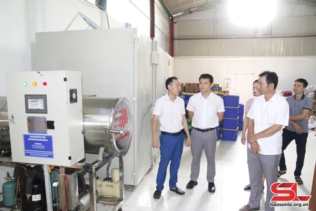 Công nghệ sấy thăng hoa