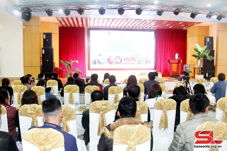 Hội nghị đầu bờ về "Sản xuất rau trong nhà kính" tại huyện Mộc Châu  