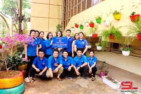  Chi đoàn Báo Sơn La thực hiện công trình “Vườn hoa thanh niên”