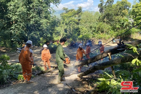 Vận hành an toàn lưới điện trong mùa mưa lũ