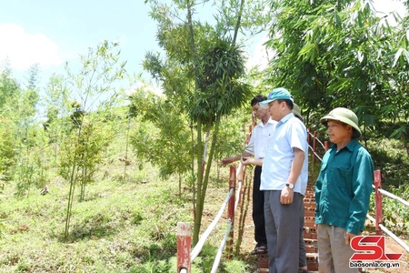 Tạo cảnh quan gắn với môi trường sinh thái trong phát triển du lịch