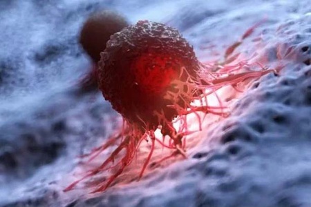 Phát hiện cơ chế hệ miễn dịch có thể nhận biết và tiêu diệt tế bào ung thư

