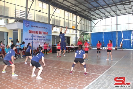 Giao lưu thể thao kỷ niệm 29 năm Ngày thành lập ngành Bảo hiểm xã hội Việt Nam 