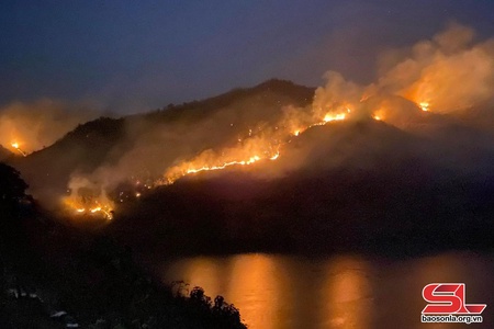 Cháy rừng tại xã Chim Vàn, huyện Bắc Yên