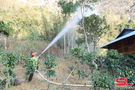 Kịp thời khống chế cháy rừng tại xã Chiềng Đen