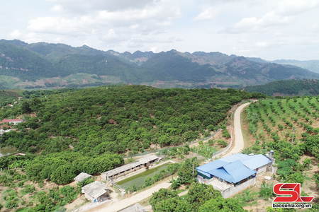 “Hộ chiếu” đưa nông sản vươn xa