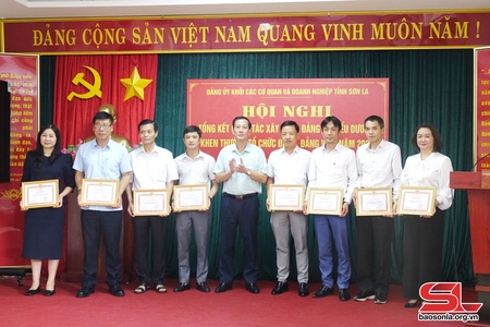 Tổng kết công tác xây dựng Đảng và biểu dương, khen thưởng tổ chức đảng, đảng viên năm 2023