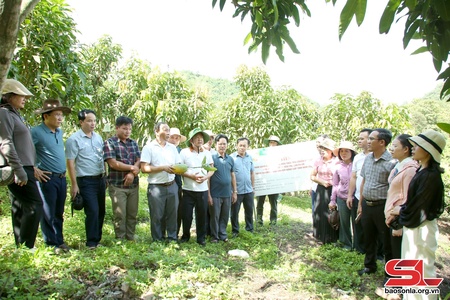 Đoàn công tác huyện Lộc Hà, tỉnh Hà Tĩnh làm việc tại huyện Yên Châu