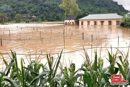Mưa lớn làm người dân nhiều khu vực huyện Mai Sơn phải sơ tán trong đêm