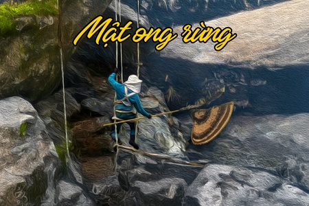 Truyện podcast: Mật ong rừng (Phần II, Kết)