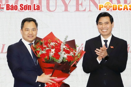 Bản tin Podcast ngày 7/11/2024
