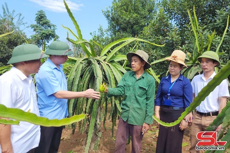 Đảng bộ huyện Thuận Châu vững bước trên con đường phát triển