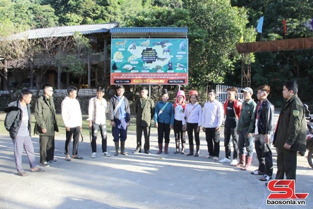 Đấu tranh, ngăn chặn tội phạm hủy hoại rừng