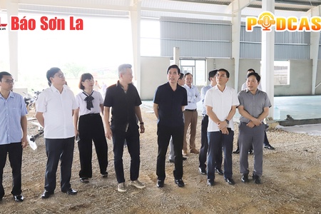 Bản tin Podcast ngày 21/5/2025