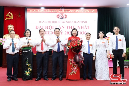 Đại hội Đảng bộ HĐND tỉnh lần thứ nhất, nhiệm kỳ 2025-2030