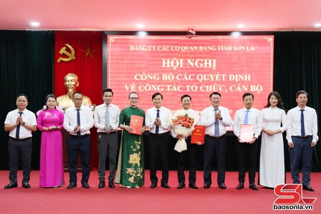 Hội nghị công bố các quyết định về công tác tổ chức, cán bộ