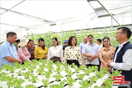 Nghiên cứu ứng dụng, chuyển giao khoa học công nghệ phục vụ sản xuất
