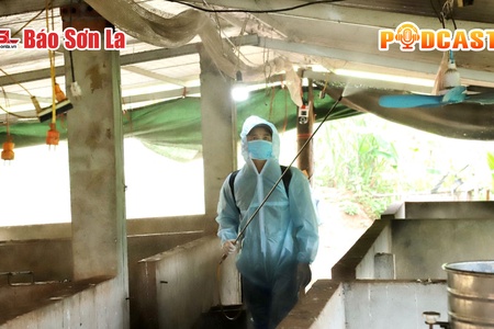 Bản tin Podcast ngày 13/7/2025